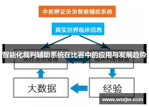 智能化裁判辅助系统在比赛中的应用与发展趋势